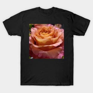 Layers of Rose Petals Photographic Image T-Shirt